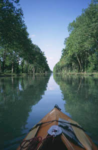 Il canale fra due ali di alberi