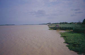 La spiaggia di Marseillan Plage