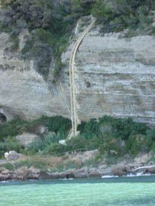 L'isola di Bergeggi