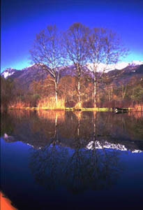 Splendidi riflessi invernali